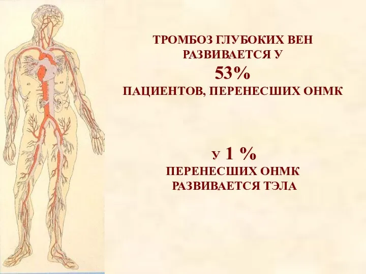 ТРОМБОЗ ГЛУБОКИХ ВЕН РАЗВИВАЕТСЯ У 53% ПАЦИЕНТОВ, ПЕРЕНЕСШИХ ОНМК У 1 % ПЕРЕНЕСШИХ ОНМК РАЗВИВАЕТСЯ ТЭЛА