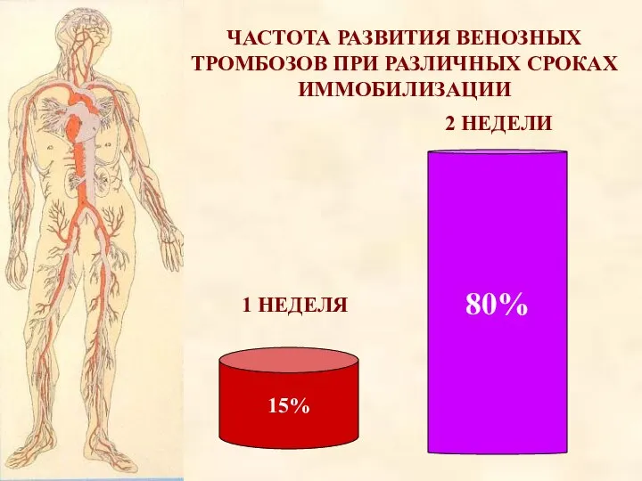 ЧАСТОТА РАЗВИТИЯ ВЕНОЗНЫХ ТРОМБОЗОВ ПРИ РАЗЛИЧНЫХ СРОКАХ ИММОБИЛИЗАЦИИ 15% 80% 1 НЕДЕЛЯ 2 НЕДЕЛИ