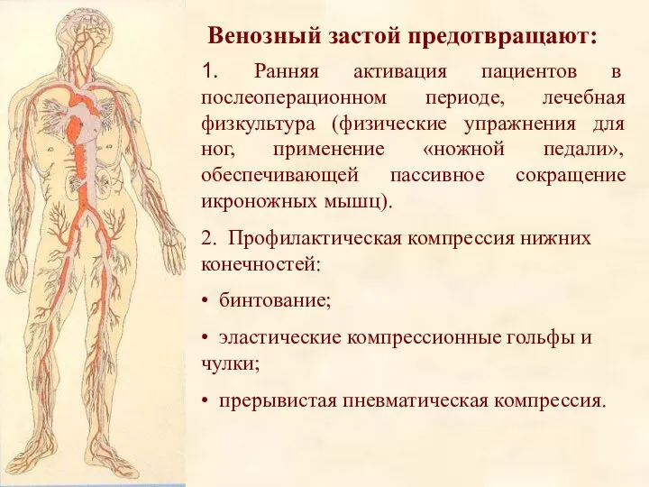 Венозный застой предотвращают: 1. Ранняя активация пациентов в послеоперационном периоде, лечебная физкультура