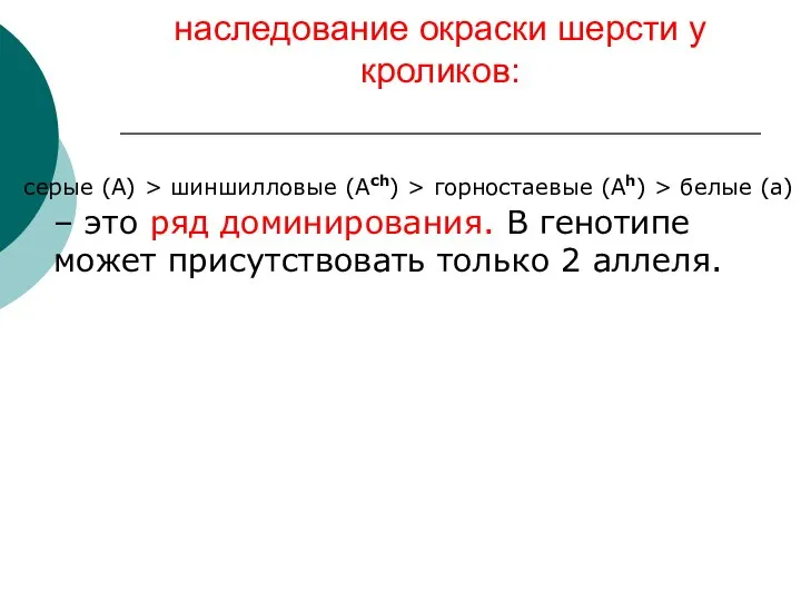 наследование окраски шерсти у кроликов: серые (А) > шиншилловые (Аch) > горностаевые