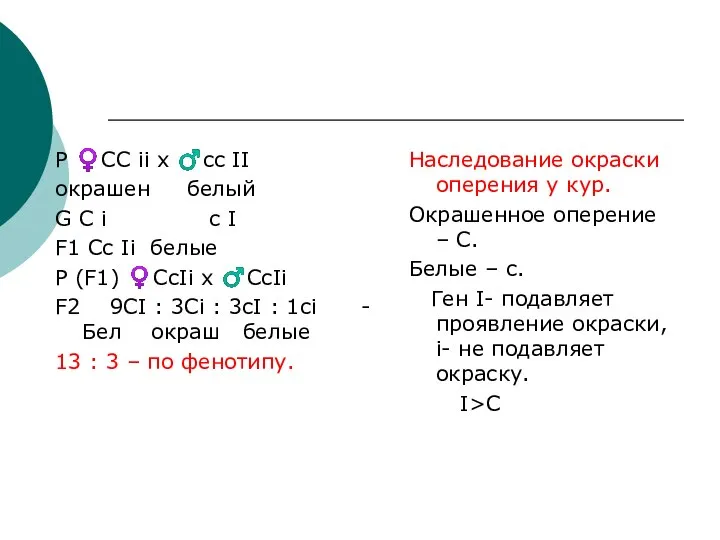 Р ♀СС ii х ♂сс II окрашен белый G С i с