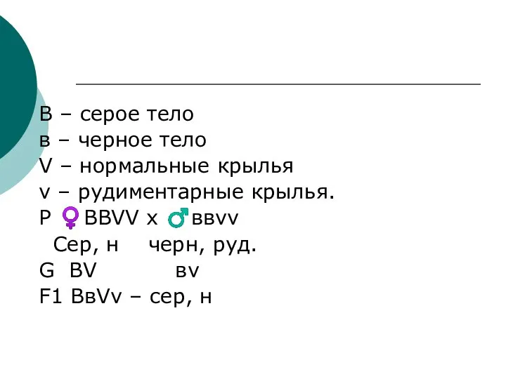 В – серое тело в – черное тело V – нормальные крылья