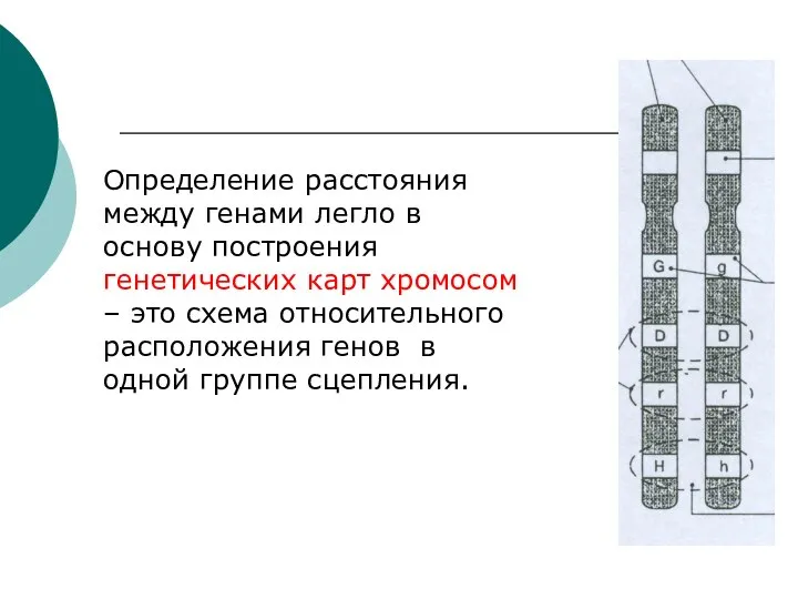 Определение расстояния между генами легло в основу построения генетических карт хромосом –