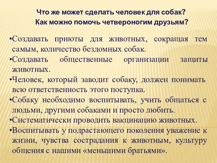 Что же может сделать человек для собак? Как можно помочь четвероногим друзьям?