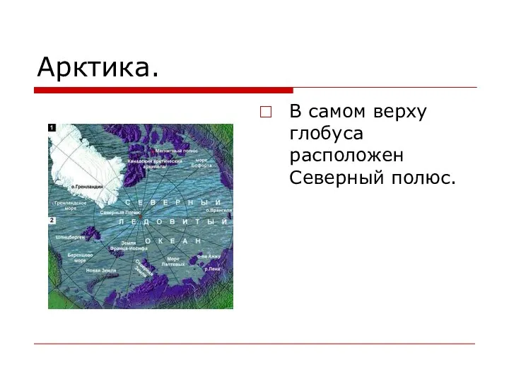 Арктика. В самом верху глобуса расположен Северный полюс.