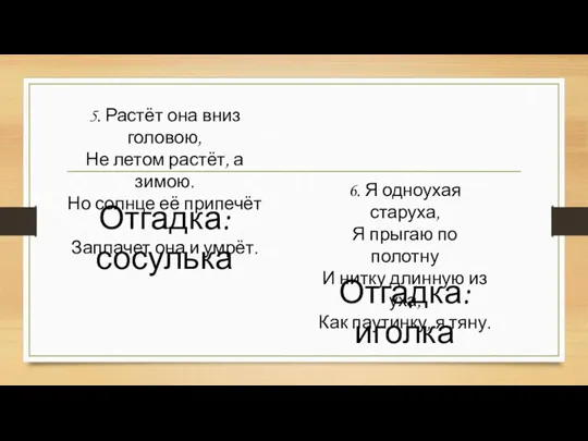 5. Растёт она вниз головою, Не летом растёт, а зимою. Но солнце