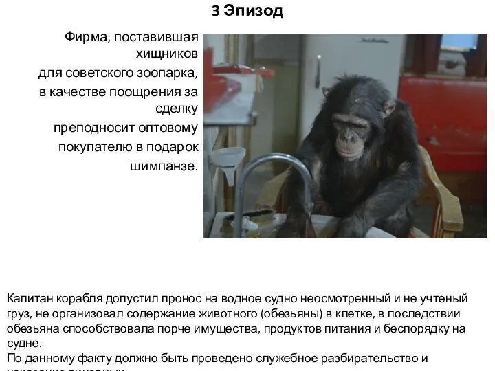 3 Эпизод Фирма, поставившая хищников для советского зоопарка, в качестве поощрения за