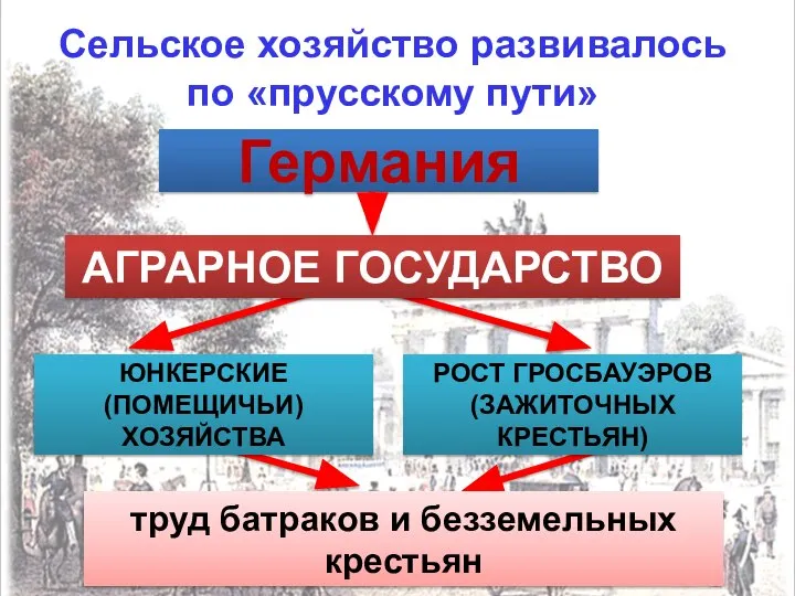 Германия ЮНКЕРСКИЕ (ПОМЕЩИЧЬИ) ХОЗЯЙСТВА труд батраков и безземельных крестьян РОСТ ГРОСБАУЭРОВ (ЗАЖИТОЧНЫХ