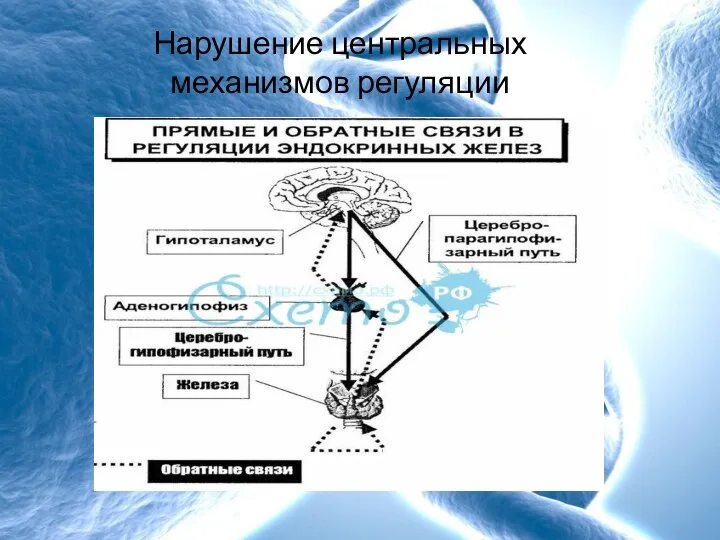 Нарушение центральных механизмов регуляции