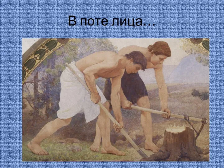 В поте лица…