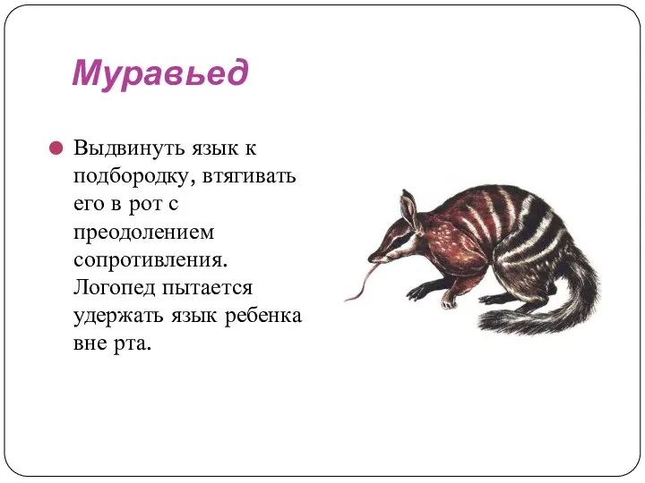 Муравьед Выдвинуть язык к подбородку, втягивать его в рот с преодолением сопротивления.