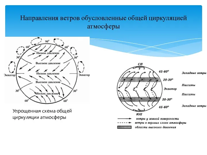 Направления ветров обусловленные общей циркуляцией атмосферы Упрощенная схема общей циркуляции атмосферы