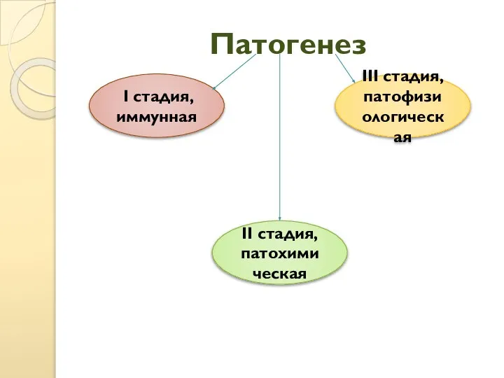 Патогенез I стадия, иммунная II стадия, патохимическая III стадия, патофизиологическая