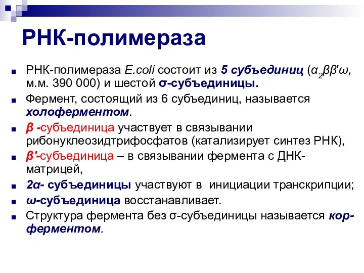 РНК-полимераза РНК-полимераза E.coli состоит из 5 субъединиц (α2ββ′ω, м.м. 390 000) и