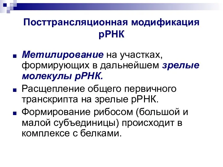 Посттрансляционная модификация рРНК Метилирование на участках, формирующих в дальнейшем зрелые молекулы рРНК.