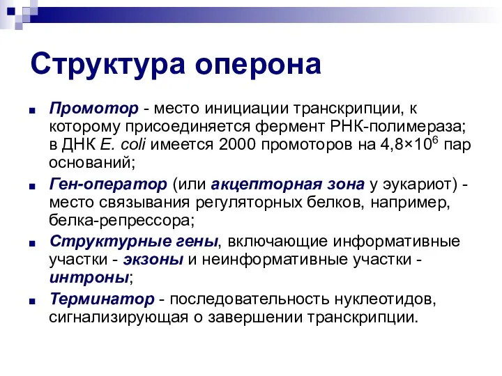 Структура оперона Промотор - место инициации транскрипции, к которому присоединяется фермент РНК-полимераза;