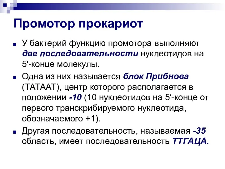 Промотор прокариот У бактерий функцию промотора выполняют две последовательности нуклеотидов на 5′-конце