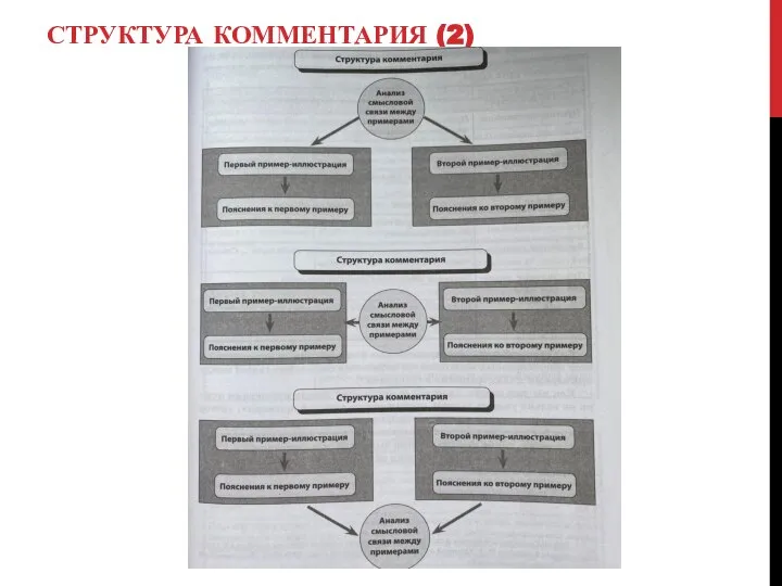 СТРУКТУРА КОММЕНТАРИЯ (2)