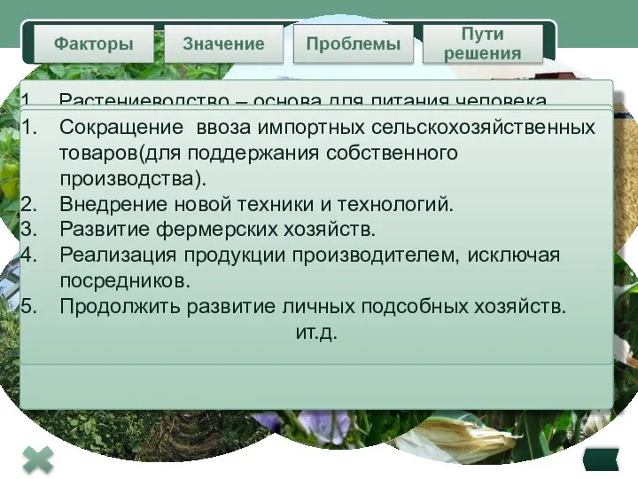 Растениеводство – основа для питания человека. От состояния растениеводства напрямую зависит уровень