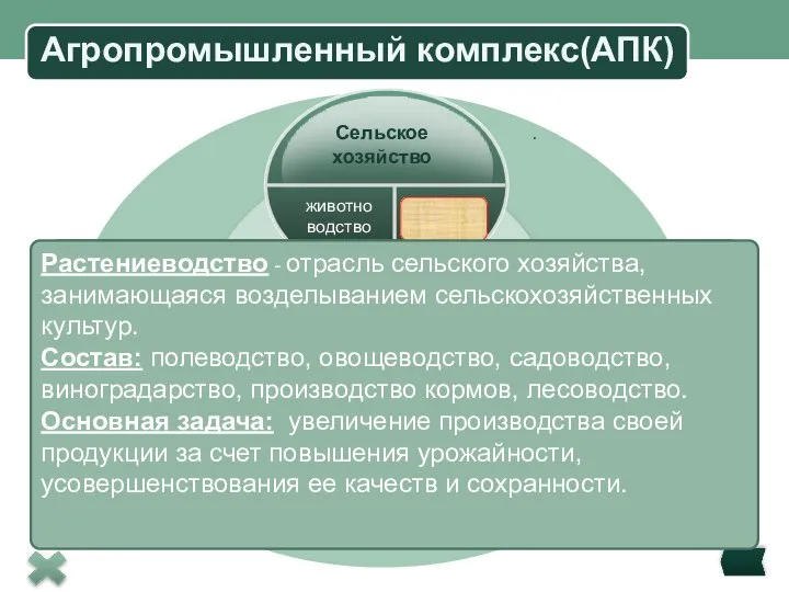 Агропромышленный комплекс(АПК) Title in here Title in here Title in here Производство