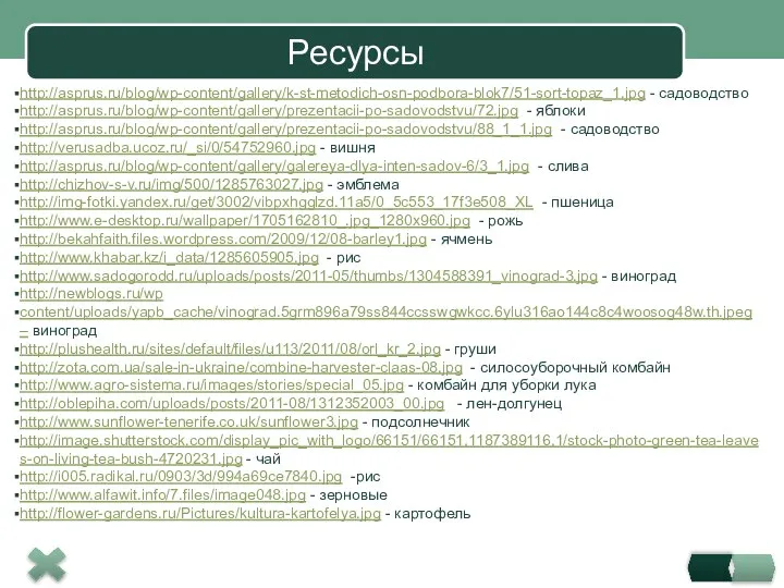 Ресурсы http://asprus.ru/blog/wp-content/gallery/k-st-metodich-osn-podbora-blok7/51-sort-topaz_1.jpg - садоводство http://asprus.ru/blog/wp-content/gallery/prezentacii-po-sadovodstvu/72.jpg - яблоки http://asprus.ru/blog/wp-content/gallery/prezentacii-po-sadovodstvu/88_1_1.jpg - садоводство http://verusadba.ucoz.ru/_si/0/54752960.jpg -