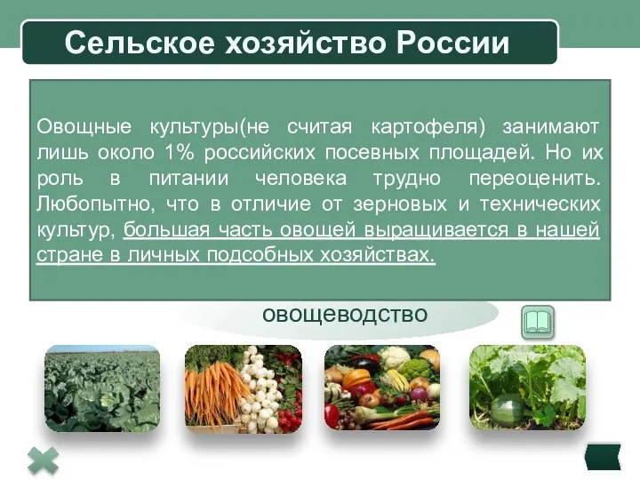 Сельское хозяйство России Посевы картофеля овощеводство Выращивание: 90% в европейской части России