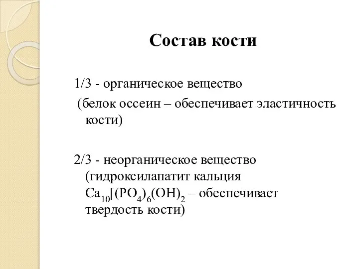 Состав кости 1/3 - органическое вещество (белок оссеин – обеспечивает эластичность кости)