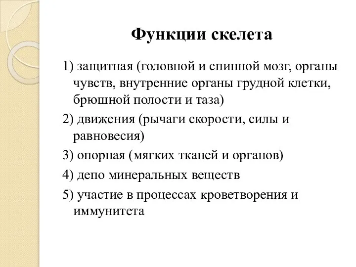 Функции скелета 1) защитная (головной и спинной мозг, органы чувств, внутренние органы