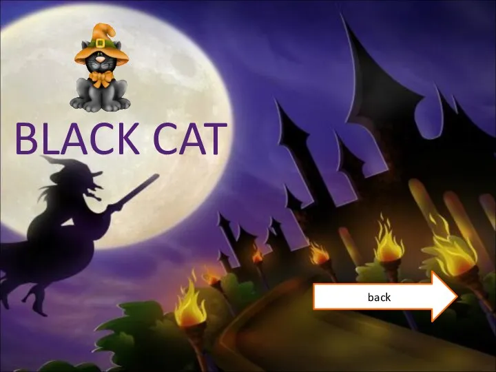 BLACK CAT back