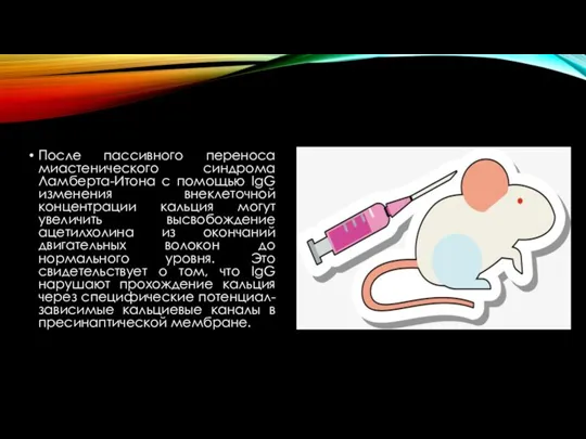 После пассивного переноса миастенического синдрома Ламберта-Итона с помощью IgG изменения внеклеточной концентрации