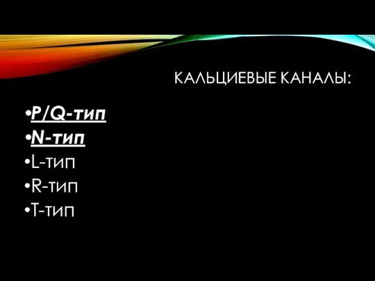 КАЛЬЦИЕВЫЕ КАНАЛЫ: P/Q-тип N-тип L-тип R-тип T-тип