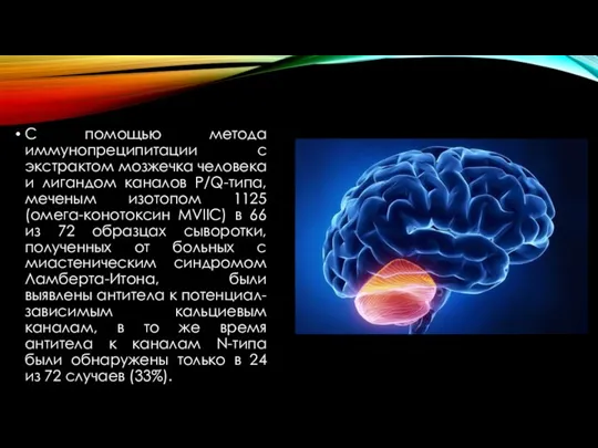 С помощью метода иммунопреципитации с экстрактом мозжечка человека и лигандом каналов Р/Q-типа,