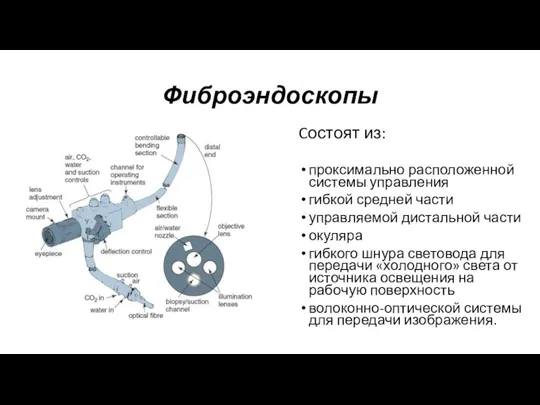 Фиброэндоскопы Cостоят из: проксимально расположенной системы управления гибкой средней части управляемой дистальной