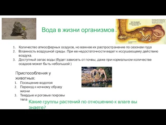 Вода в жизни организмов Количество атмосферных осадков, но важнее их распространение по