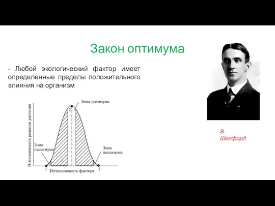 Закон оптимума - Любой экологический фактор имеет определенные пределы положительного влияния на организм В. Шелфорд