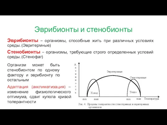 Эврибионты и стенобионты Эврибионты – организмы, способные жить при различных условиях среды.