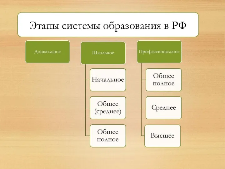 Этапы системы образования в РФ