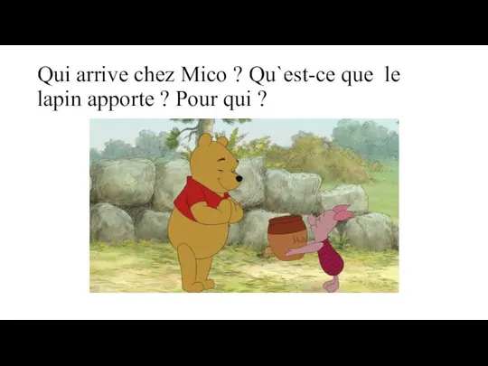 Qui arrive chez Mico ? Qu`est-ce que le lapin apporte ? Pour qui ?