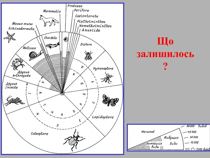 Що залишилось ?