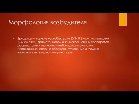 Морфология возбудителя Бруцеллы — мелкие коккобактерии (0,3– 0,6 мкм) или палочки (0,6–2,5