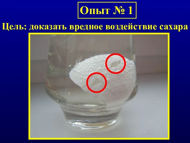 Опыт № 1 Цель: доказать вредное воздействие сахара