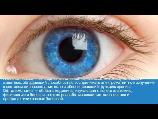 Глаз (лат. oculus) — сенсорный орган (орган зрительной системы) человека и животных,
