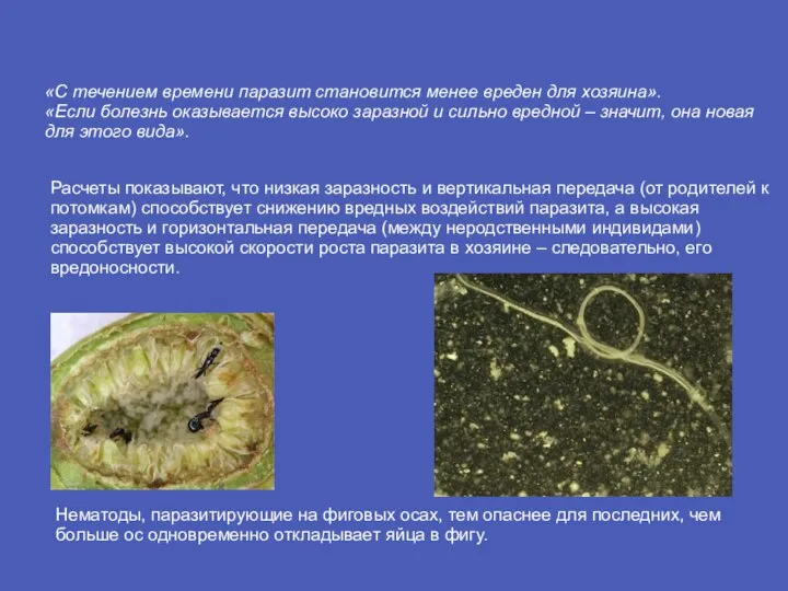 «С течением времени паразит становится менее вреден для хозяина». «Если болезнь оказывается