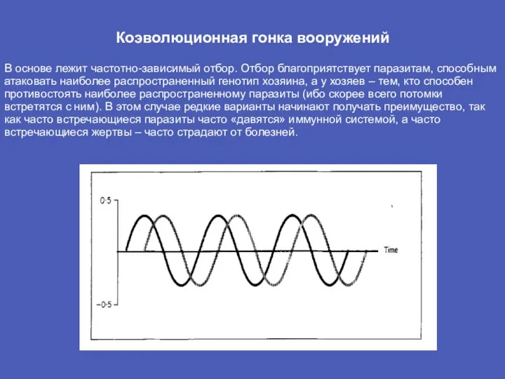 Коэволюционная гонка вооружений В основе лежит частотно-зависимый отбор. Отбор благоприятствует паразитам, способным