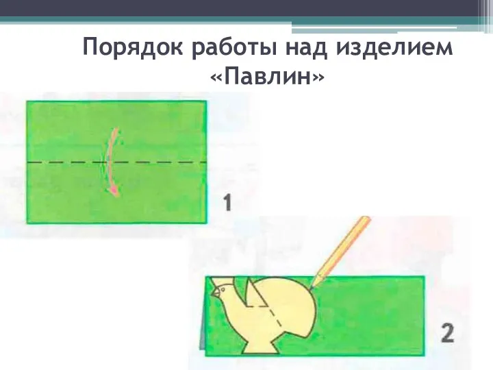 Порядок работы над изделием «Павлин»