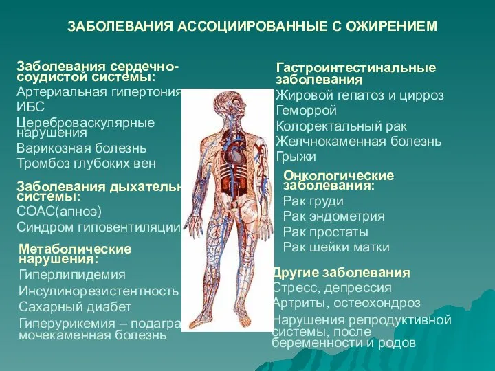 ЗАБОЛЕВАНИЯ АССОЦИИРОВАННЫЕ С ОЖИРЕНИЕМ Заболевания сердечно-соудистой системы: Артериальная гипертония ИБС Цереброваскулярные нарушения