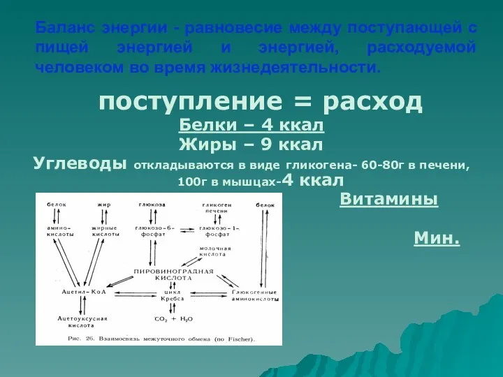 поступление = расход Белки – 4 ккал Жиры – 9 ккал Углеводы