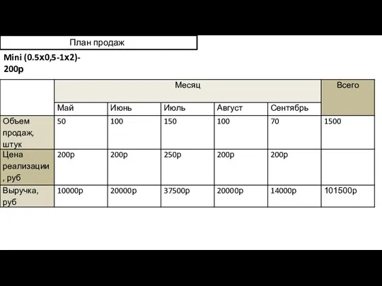 План продаж Mini (0.5х0,5-1х2)- 200р