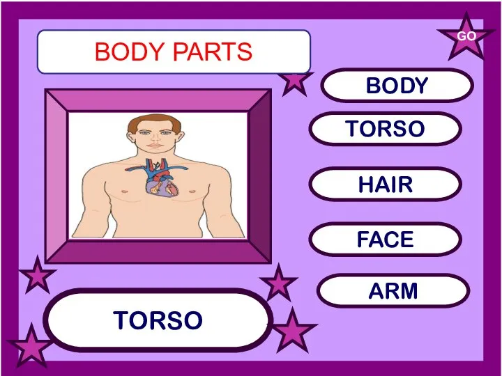TORSO TORSO HAIR FACE GO BODY PARTS BODY ARM