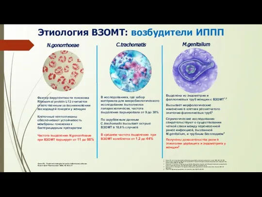 Этиология ВЗОМТ: возбудители ИППП N.gonorrhoeae C.trachomatis M.genitalium Фактор вирулентности гонококка Ribosomal protein